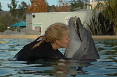 Wining, Dining, and Swimming with the Dolphins at Six Flags Discovery Kingdom