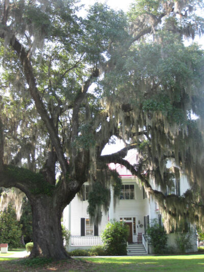 Carolina Low Country’s Palm Key Offers Unparalleled Beauty