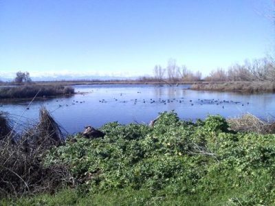 Road Trippin’ Through Yuba City, California