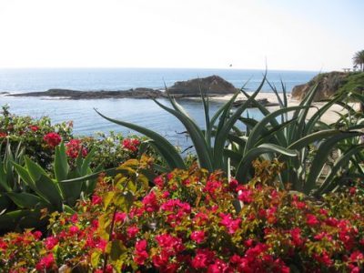 Orange County’s Wildlife & Beach Tour: Discover the Hidden Gems