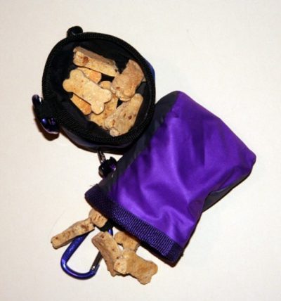 Quality Travel Bag for Couples Who Travel with Their Dog