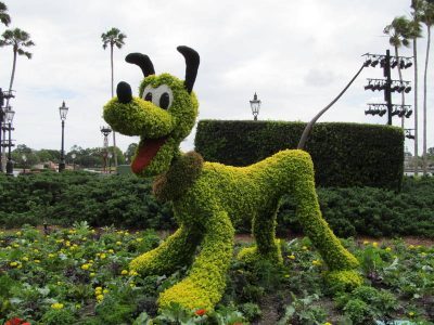 Disney World in A 7 Hour Flori-Day?