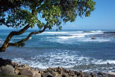 Part One: Turtle Bay on O’ahu’s North Shore